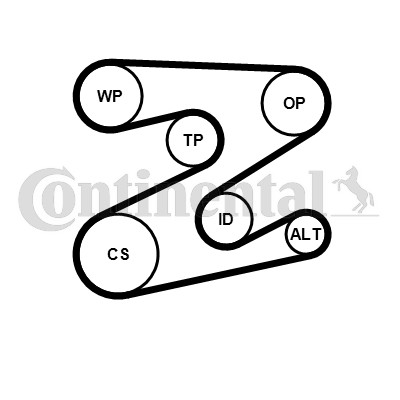 Ribbed belt set - for, mg