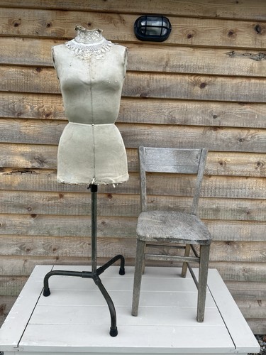 Vintage mannequin tailors - vintage,