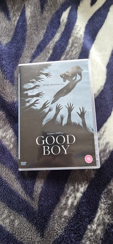 Good boy dvd - boy,