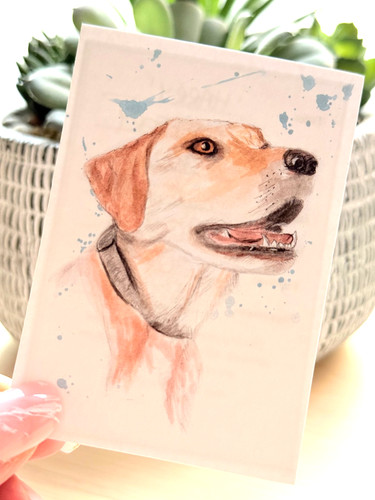 Aceo print harry yellow - |, 'harry'