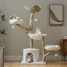 Extra large 150cm - cloud, cat
