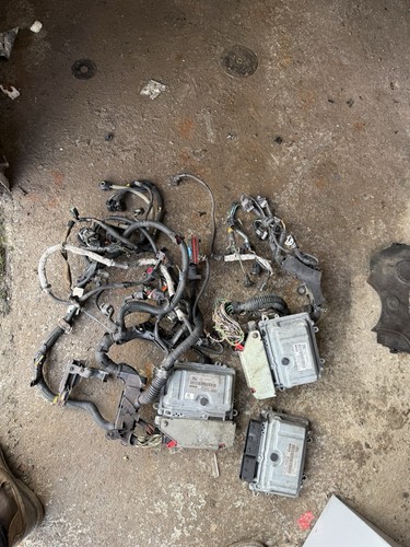 Ford focus 3x - ford, engine
