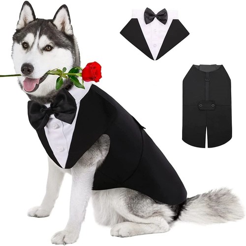 Dog tuxedo suit - tuxedo,