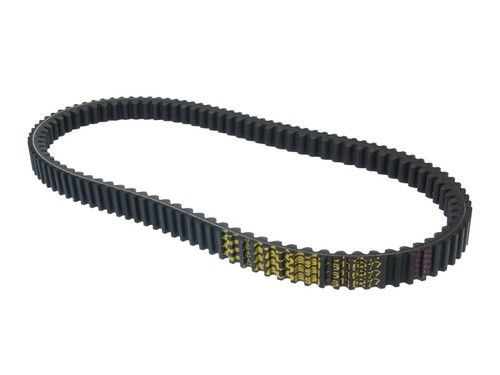 Drive belt malossi - mhr, x