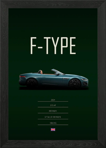 2024 jaguar type framed wall - jaguar,