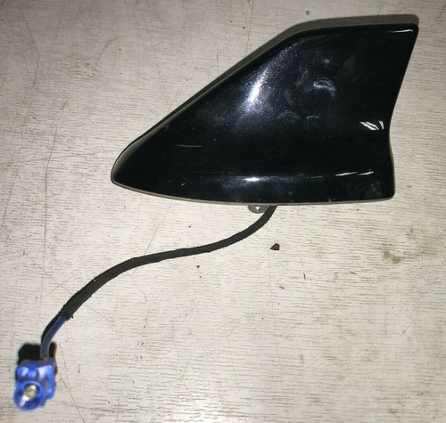 Ford focus car aerial - ford, shark
