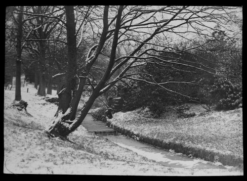 Magic lantern slide stream - slide, in