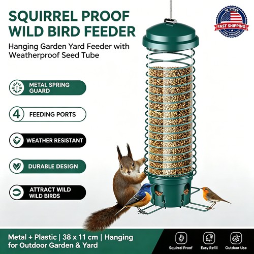 Hanging wild bird - hanging, feeder