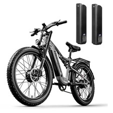 (2 Batteries) 26" Fat Tyre
