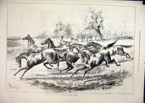 Original old antique - antique, print