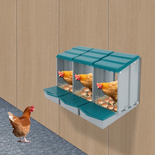 Chicken nest boxs - chicken,