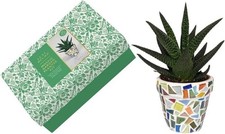 Mosaic craft garden planter - craft,