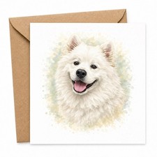 Dog Greeting Card Samoyed
