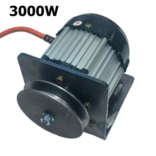 12v 220v brushless - 12v-220v,