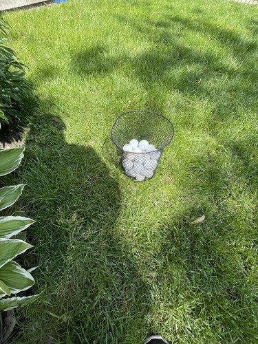 Golf balls mixed - golf,