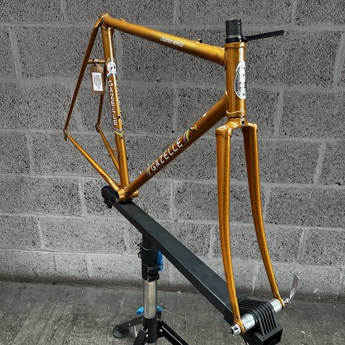 Gazelle champion mondial - gazelle,