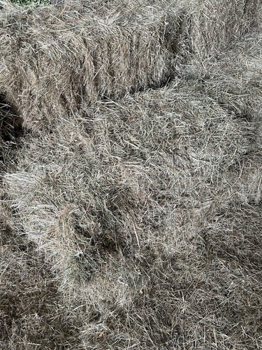 Small hay bales - small,