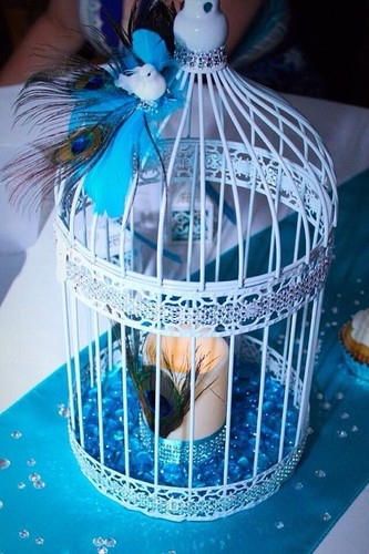 Decorative bird cage - decorative,