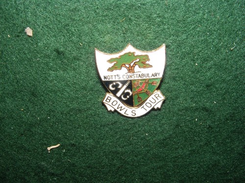 Vintage enamel badge - vintage,