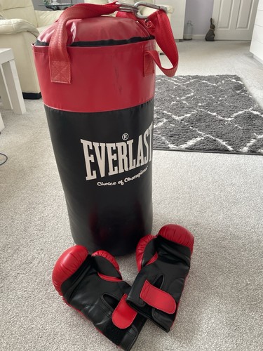 Everlast 2ft punchbag and - everlast,