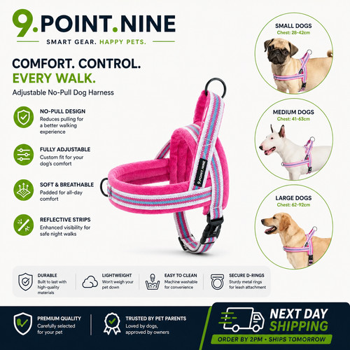 Pull dog harness reflective - no,