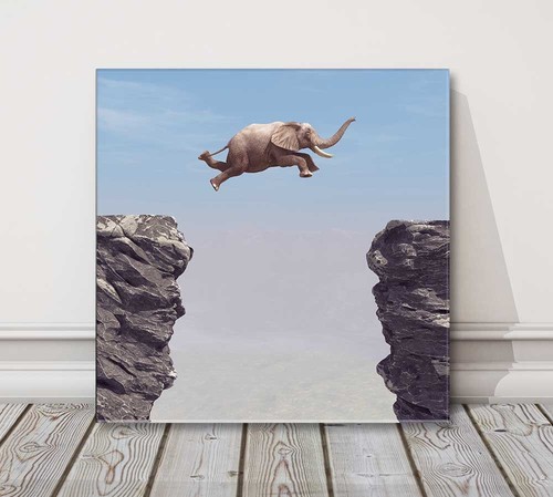 Elephant jumping rocks funny - jumping,