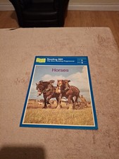 Vintage Ginn Reading 360 Level 3 Book 4 Horses 1987