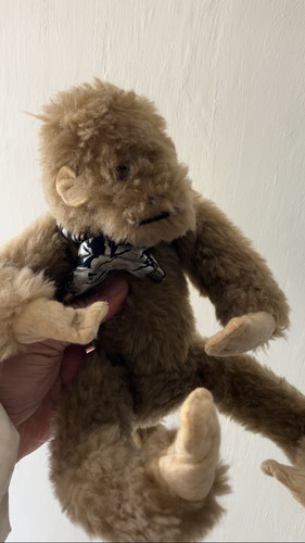Crazy bendy monkey - crazy,