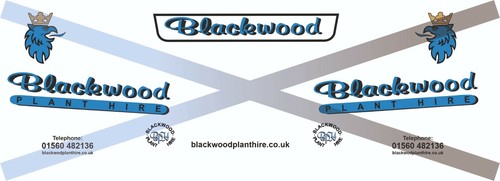 Scale blackwood plant - blackwood,