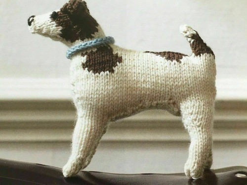 Jack russell terrier dog - russell,