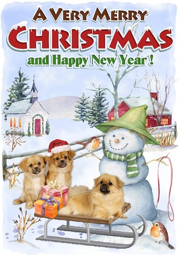 Tibetan spaniel dog - a6, (4"