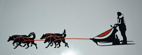40cm rig huskies sibes - rig,