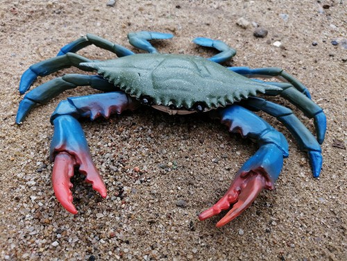 Large size red crab realistic - large,