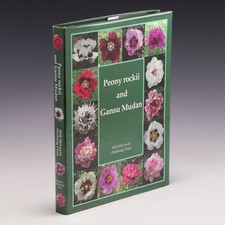 Peony Rockii and Gansu Mudan