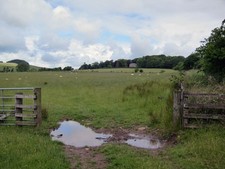 Photo 6x4 Grazing land towards