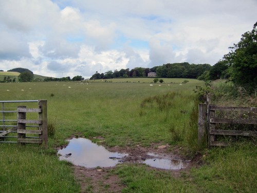 Photo 6x4 grazing land towards - grazing,