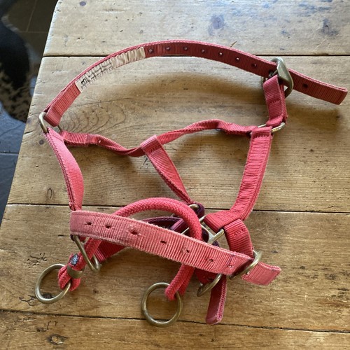Monty roberts dually - monty,