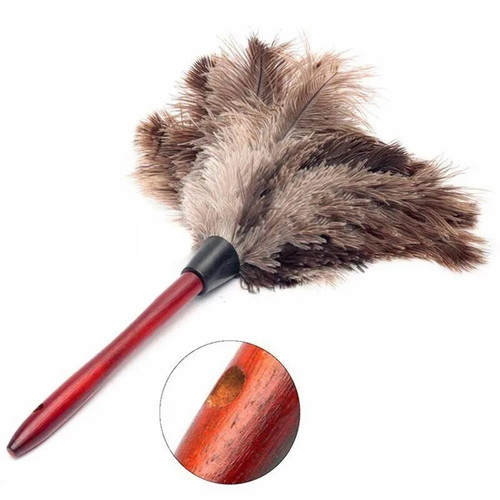 Anti static ostrich - anti-static, feather