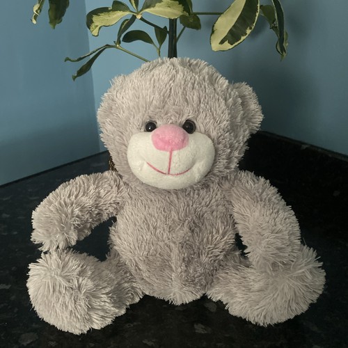Card factory grey bear - card, plush