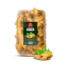 Fresh Ginger Roots from
