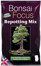 Growth tech bonsai focus - tech.,