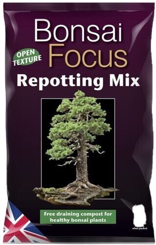 Bonsai focus repotting - repotting, mix