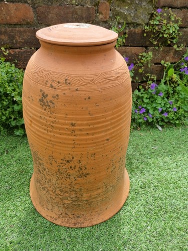 Terracotta rhubarb forcer - rhubarb, by