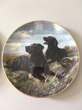 Labrador Retriever Royal Doulton Plate  READY TO GO Collectors Plate Labradors