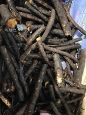 25g Comfrey Bocking 14  Root Cuttings  - BUY ONE GET ONE FREE