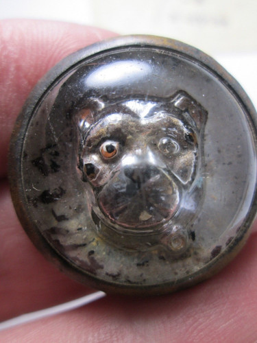 Victorian glass bulldog pug - glass,