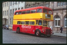 Original Bus Slide - Eastern