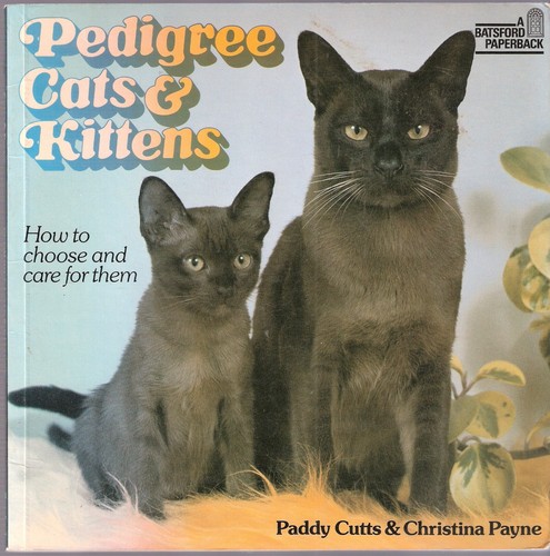 Pedigree cats and kittens - pedigree,