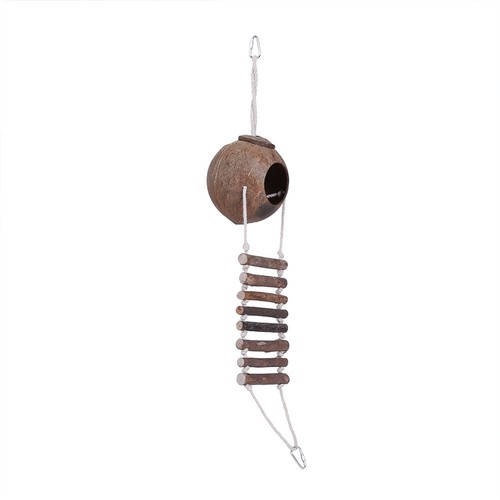 Coconut shell bird breeding - shell,