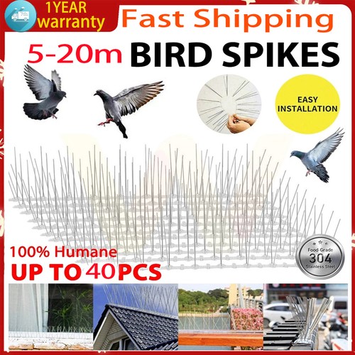 20m pigeon bird spikes - 20m, wall